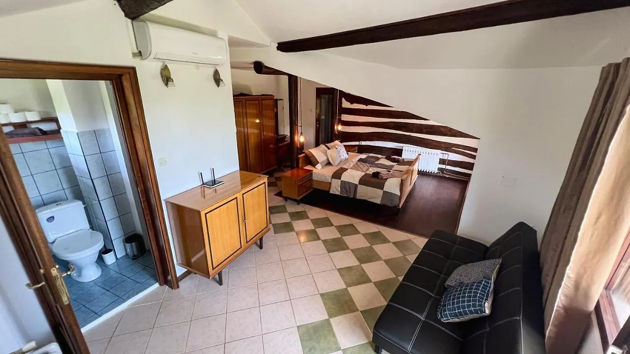Casa Ana New In 2025 High Speed Starlink Wifi Villa Buzet